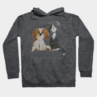 Cute Spaniel and Border Collie Hoodie